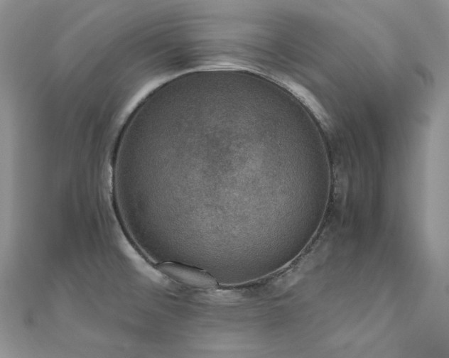 X0000110891476200906181236