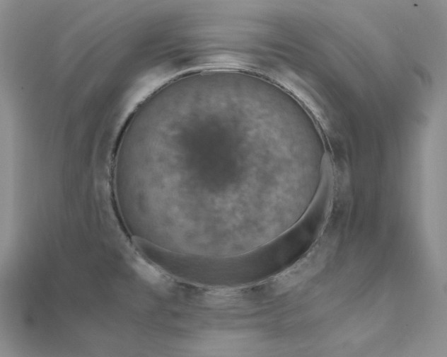 X0000110891477200906181236