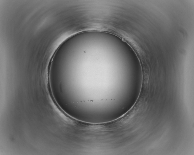 X0000110891479200906181236