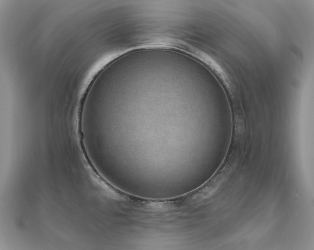 X0000110891480200906181236