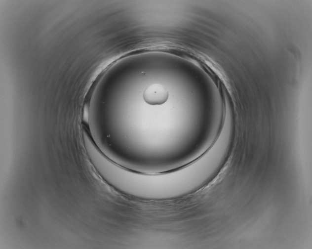 X0000110891481200906181236