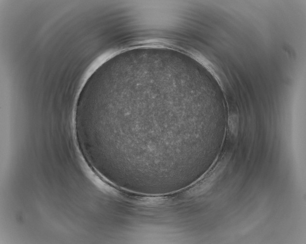 X0000110891482200906181236