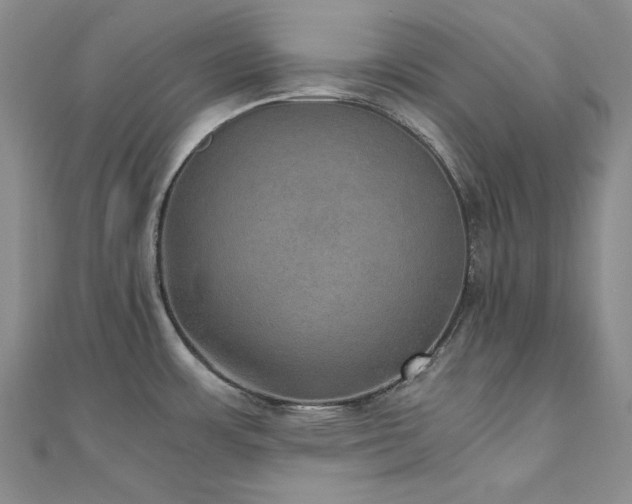 X0000110891483200906181236