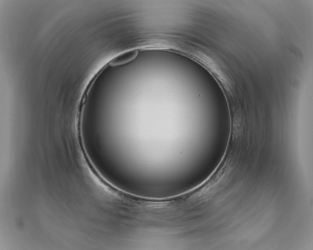X0000110891484200906181236