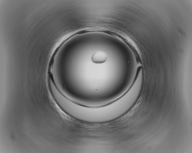 X0000110891485200906181236