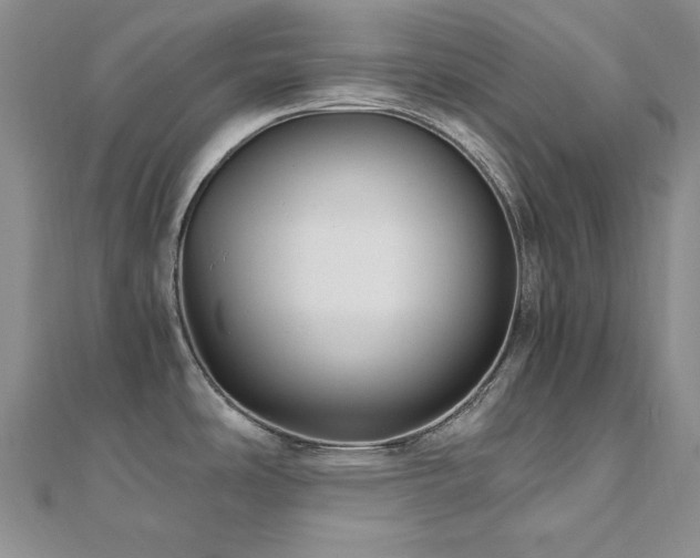 X0000110891486200906181236