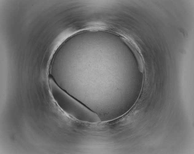 X0000110891488200906181236