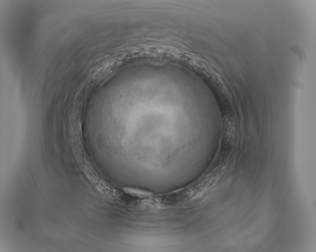 X0000110891489200906181235