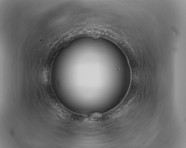 X0000110891490200906181235