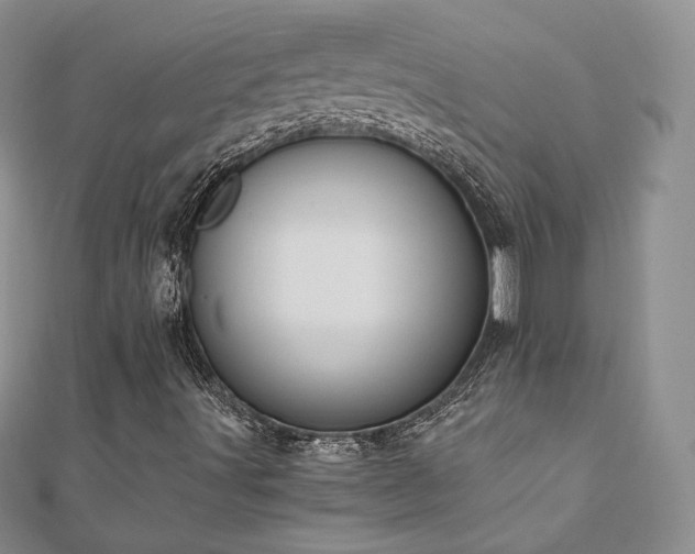 X0000110891491200906181235
