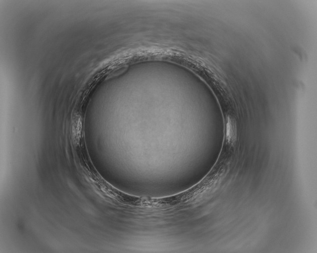 X0000110891492200906181235