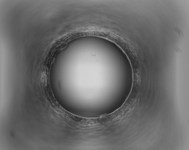 X0000110891493200906181235