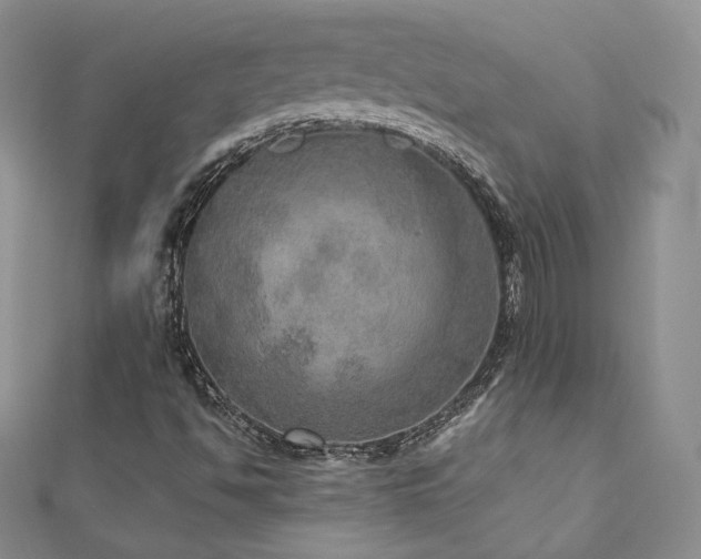 X0000110891494200906181235