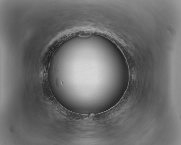 X0000110891495200906181235