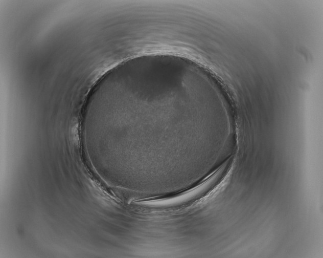 X0000110891497200906181235