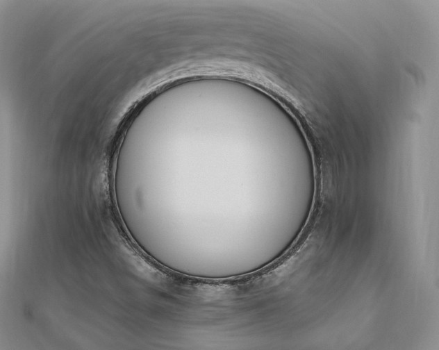 X0000110891498200906181235
