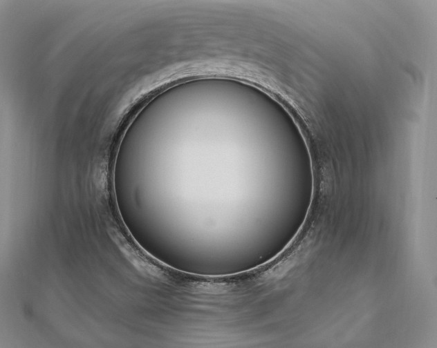 X0000110891499200906181235