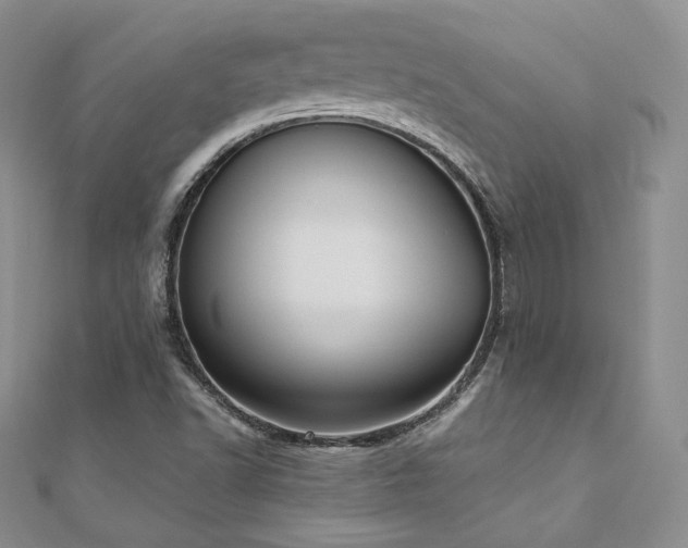 X0000110891502200906181235