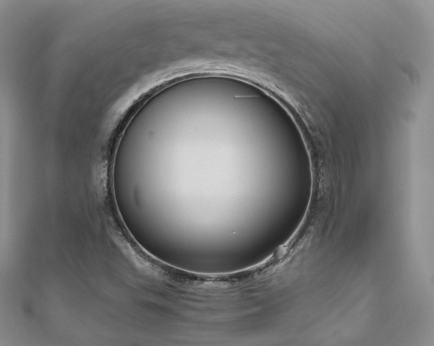 X0000110891503200906181235