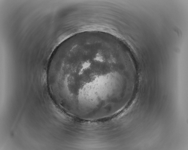 X0000110891505200906181235