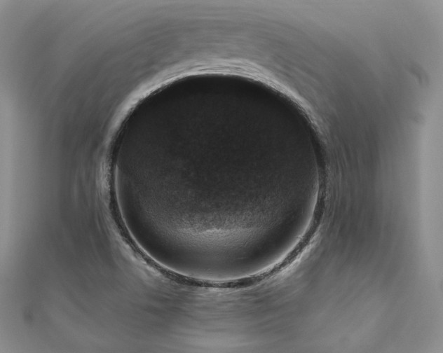 X0000110891506200906181235