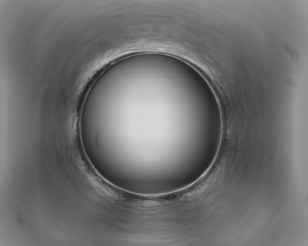X0000110891507200906181235