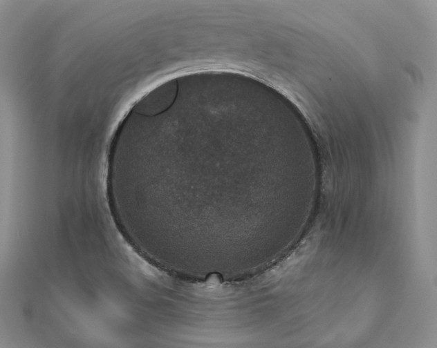 X0000110891508200906181235