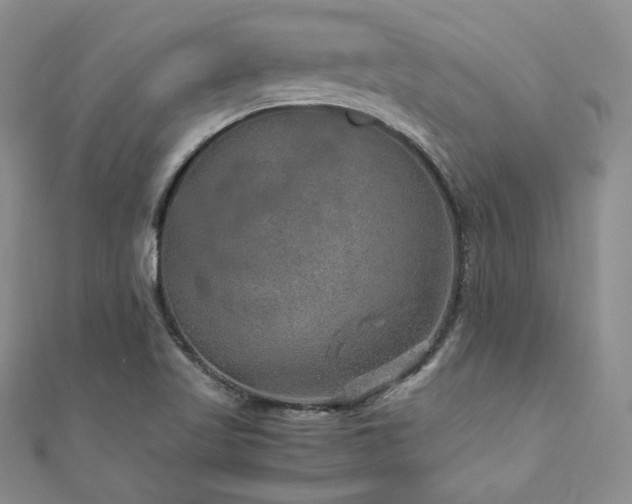 X0000110891509200906181235