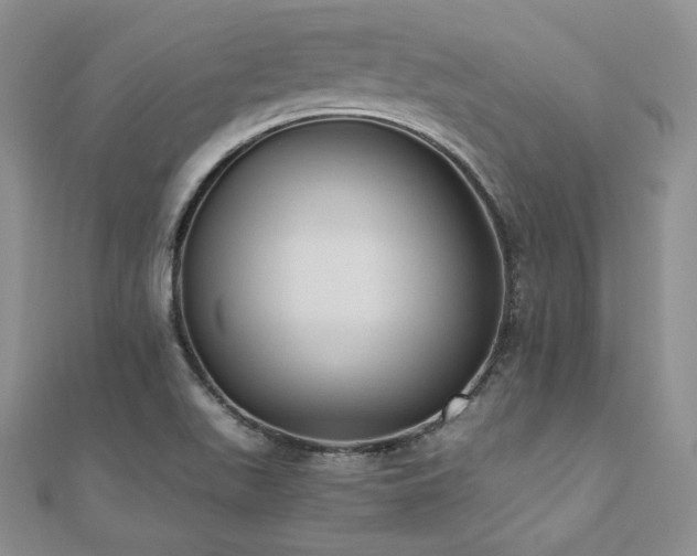 X0000110891511200906181235