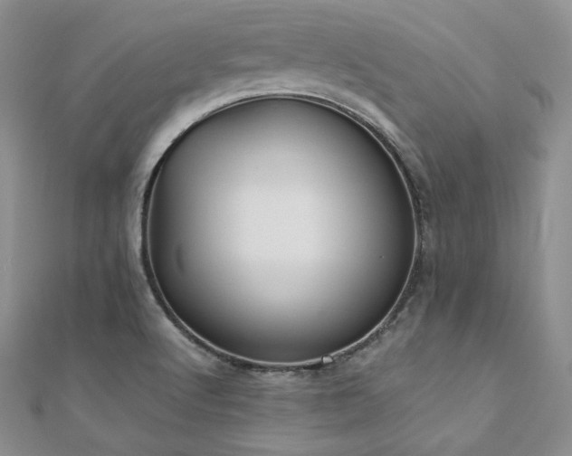X0000110891512200906181235