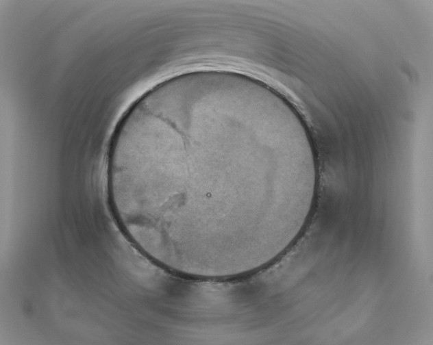 X0000110891514200906181235