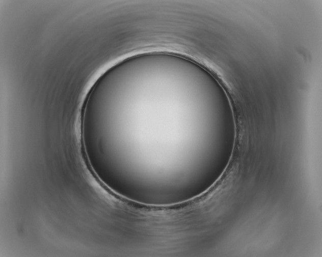 X0000110891516200906181235