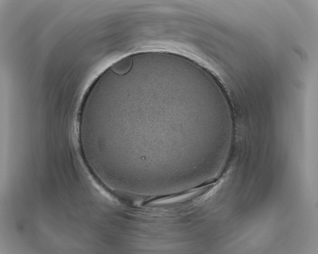 X0000110891517200906181235