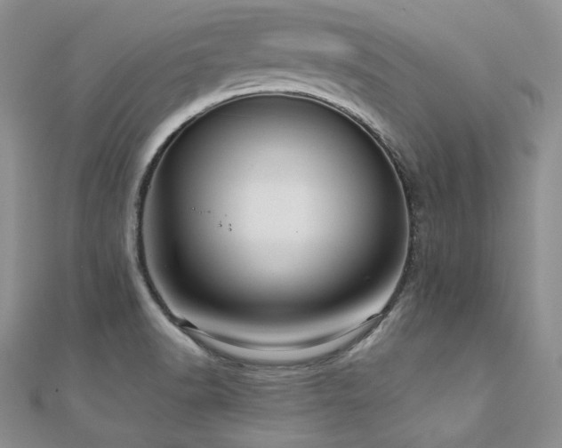 X0000110891518200906181235