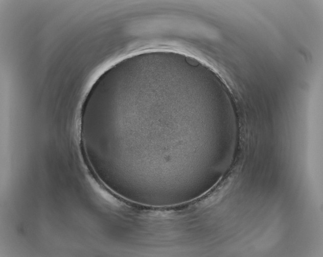 X0000110891519200906181235