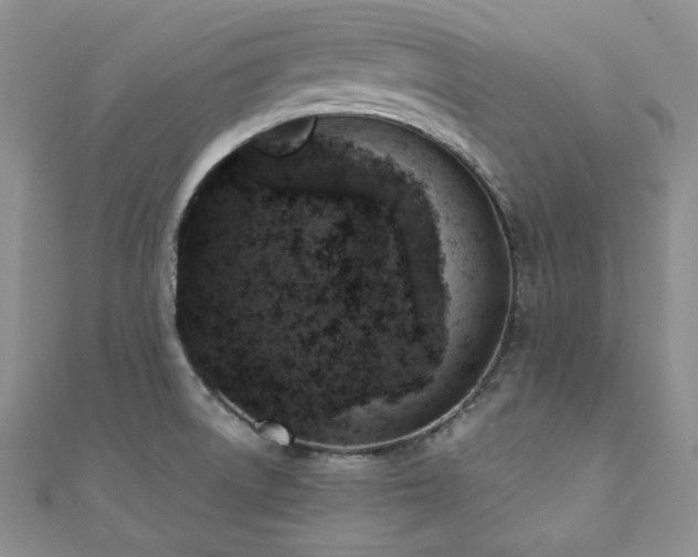 X0000110891522200906181235