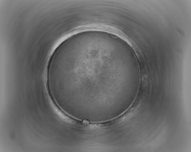 X0000110891523200906181235