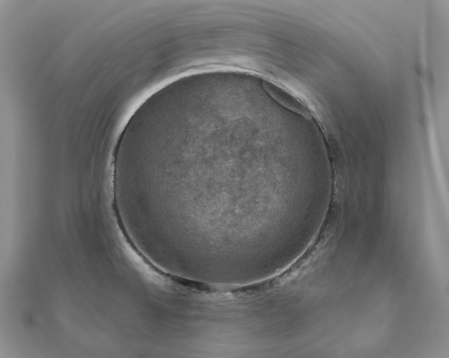 X0000110891524200906181235