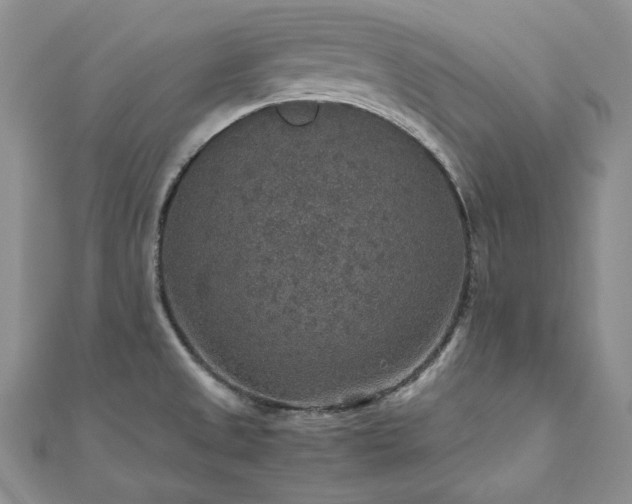 X0000110891525200906181235