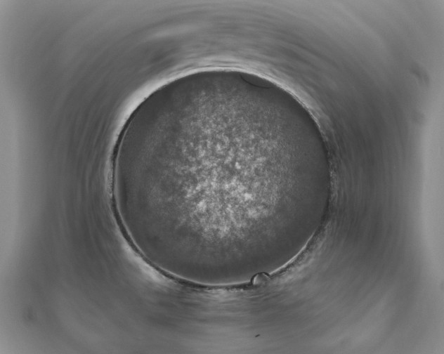 X0000110891527200906181235