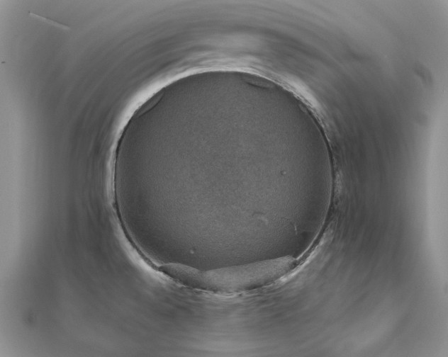 X0000110891528200906181235