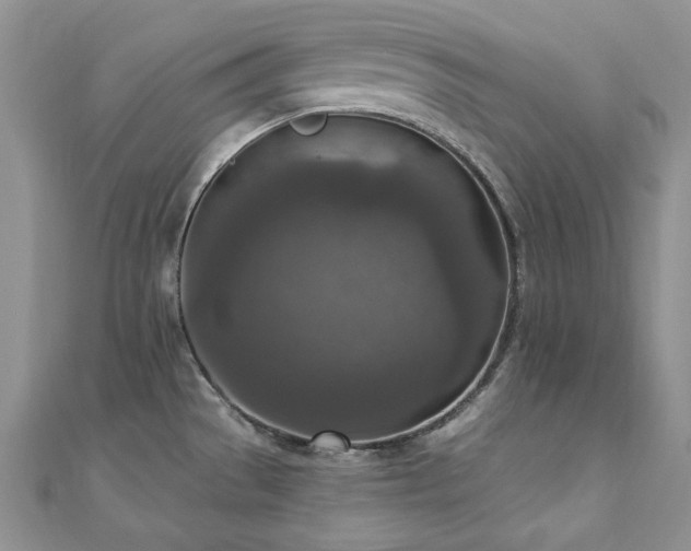 X0000110891529200906181235