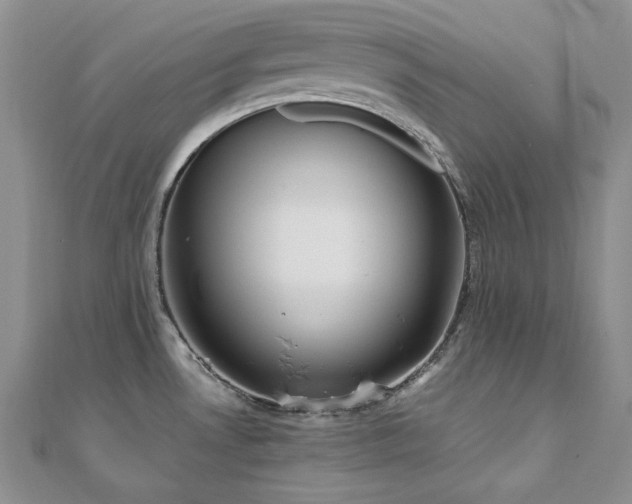 X0000110891530200906181235
