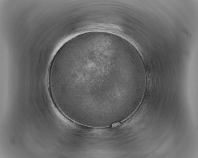 X0000110891531200906181235