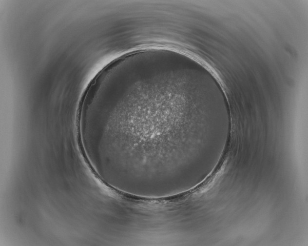 X0000110891533200906181235