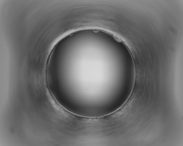 X0000110891534200906181235