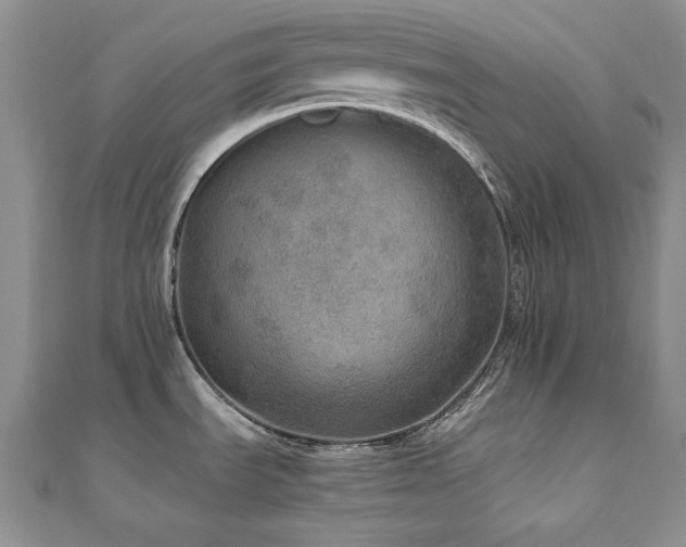 X0000110891535200906181235