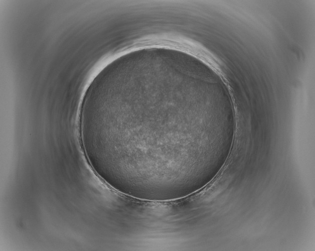 X0000110891536200906181236