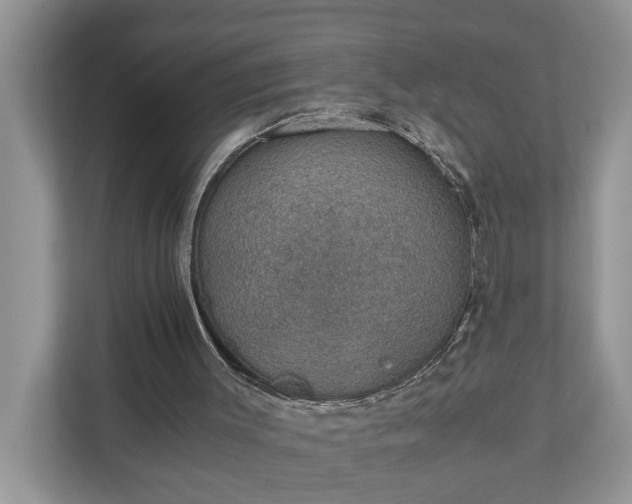 X0000110890003200906251327