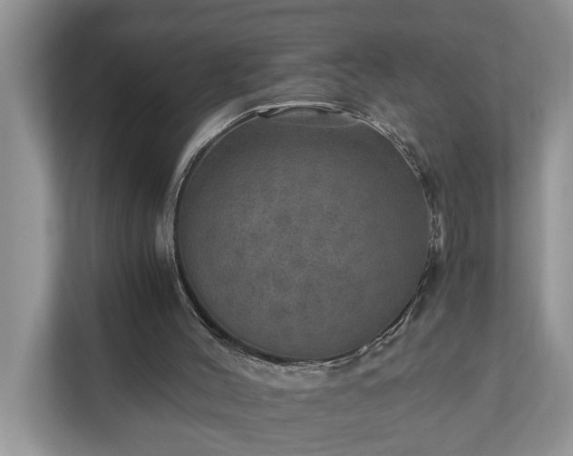 X0000110890004200906251327